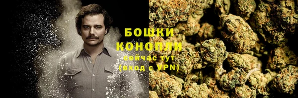 дживик Надым