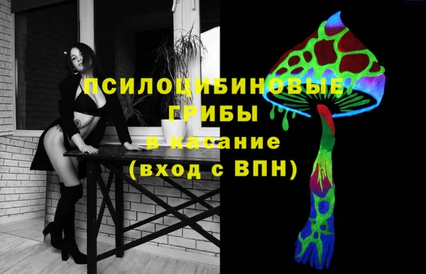 дживик Надым