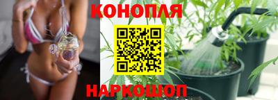сатива Гусиноозёрск