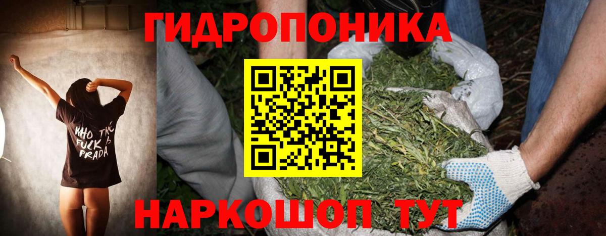 Шишки марихуана Amnesia Набережные Челны